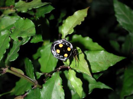 按此在新視窗瀏覽圖片