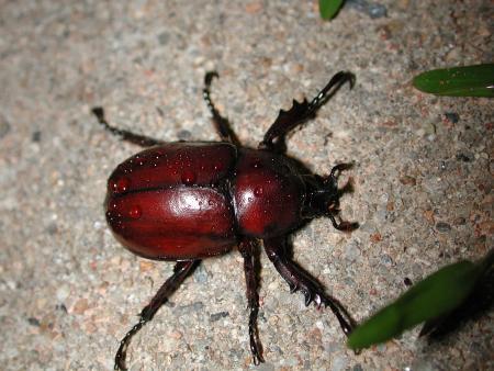 按此在新視窗瀏覽圖片