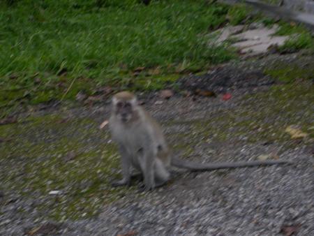 按此在新視窗瀏覽圖片