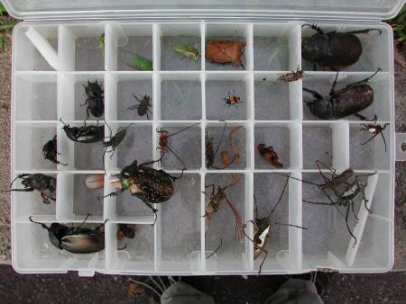 按此在新視窗瀏覽圖片