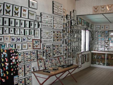 按此在新視窗瀏覽圖片