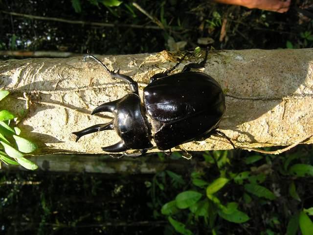 按此在新視窗瀏覽圖片