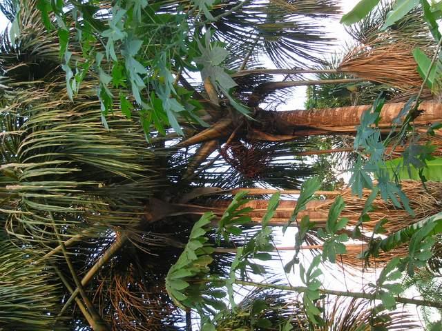 按此在新視窗瀏覽圖片