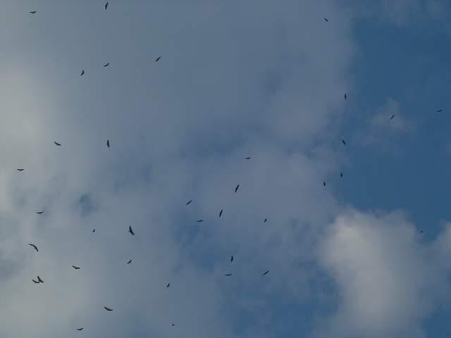 按此在新視窗瀏覽圖片