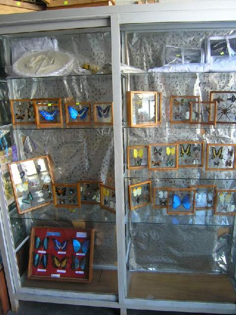 按此在新視窗瀏覽圖片