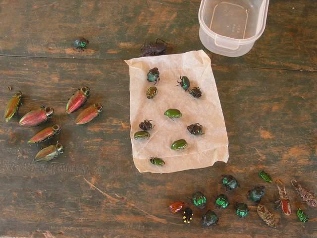 按此在新視窗瀏覽圖片