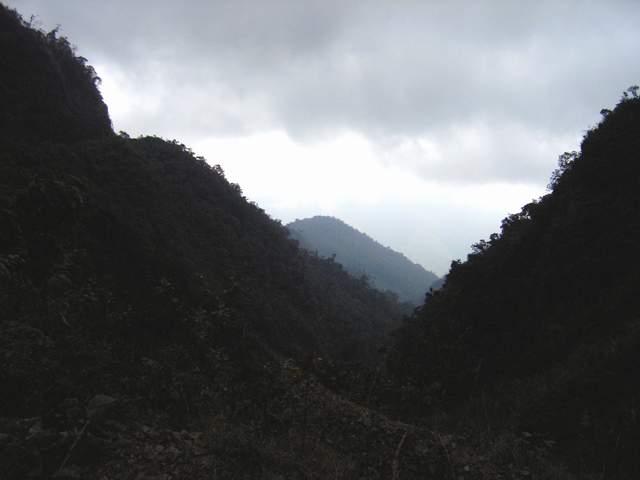 按此在新視窗瀏覽圖片