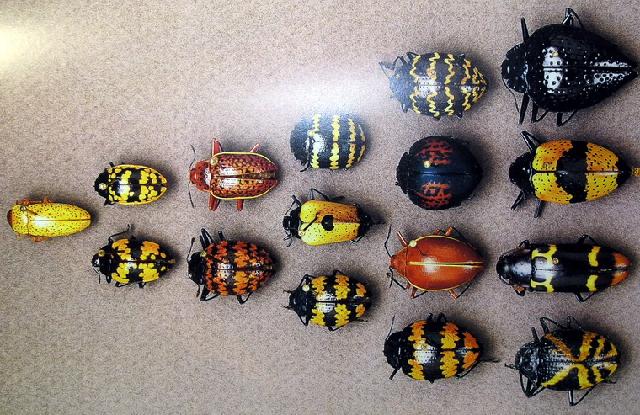 按此在新視窗瀏覽圖片