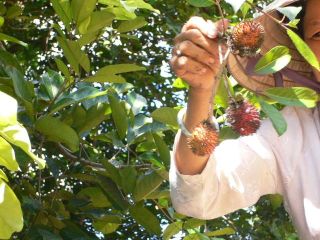 按此在新視窗瀏覽圖片