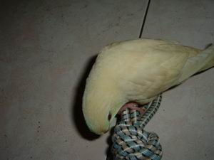 «ö¦¹¦b·sµøµ¡ÂsÄý¹Ï¤ù
