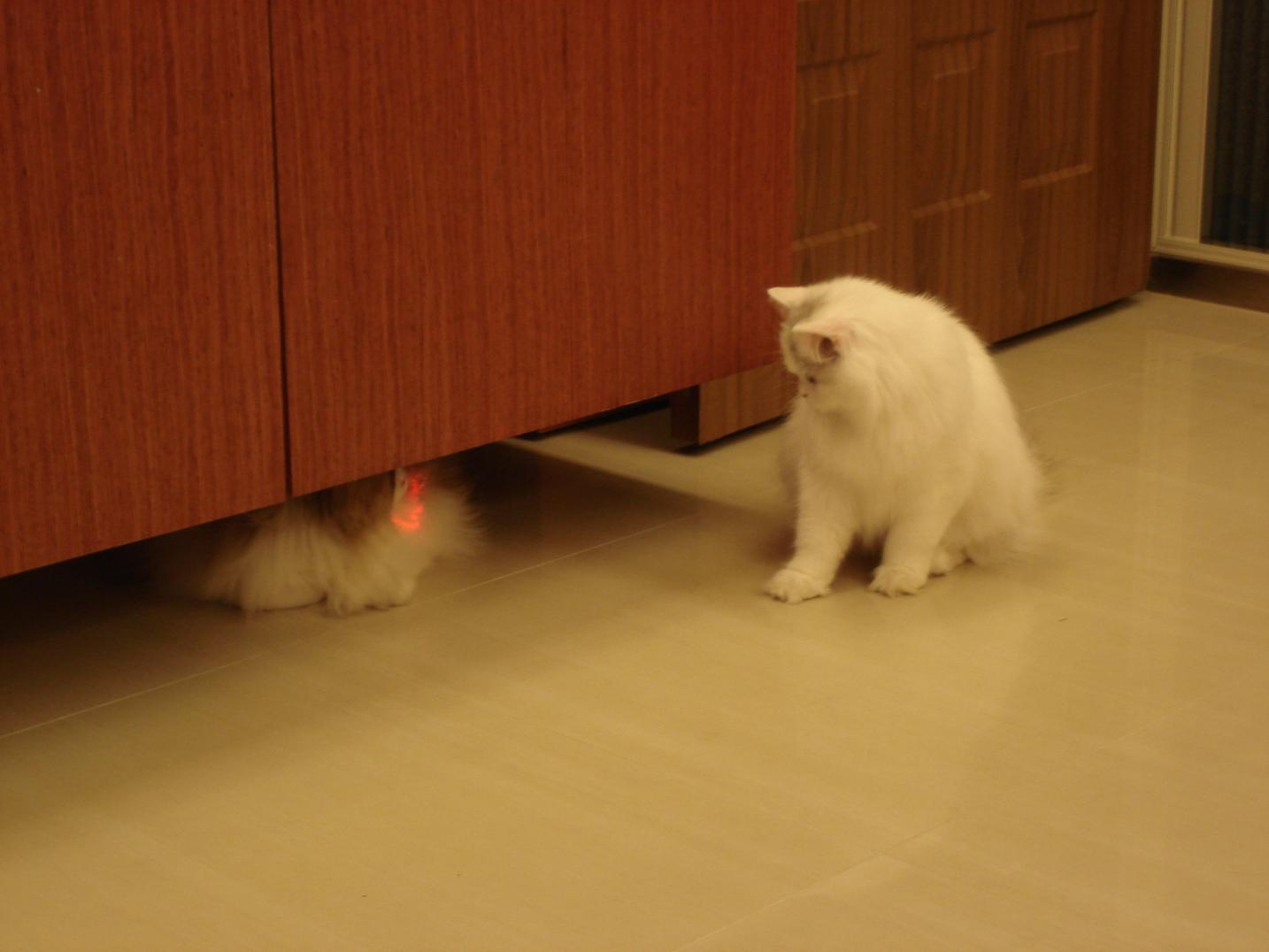 «ö¦¹¦b·sµøµ¡ÂsÄý¹Ï¤ù