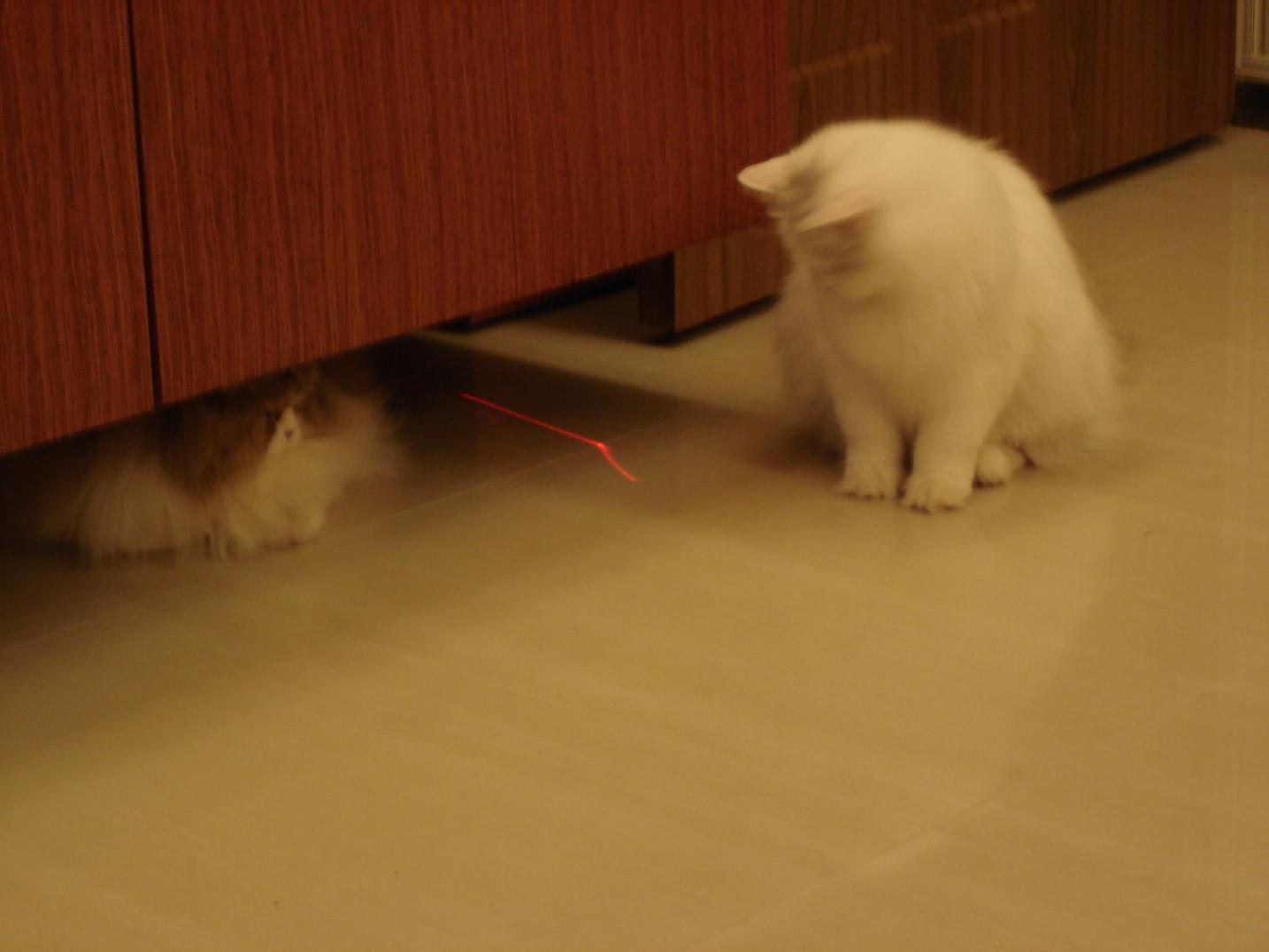 «ö¦¹¦b·sµøµ¡ÂsÄý¹Ï¤ù