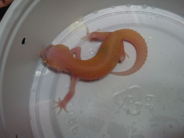 «ö¦¹¦b·sµøµ¡ÂsÄý¹Ï¤ù