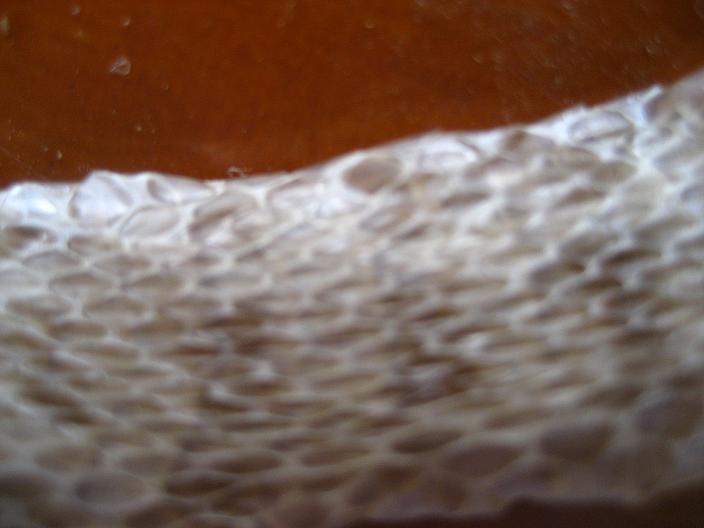 «ö¦¹¦b·sµøµ¡ÂsÄý¹Ï¤ù