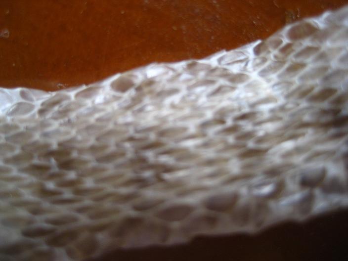 «ö¦¹¦b·sµøµ¡ÂsÄý¹Ï¤ù