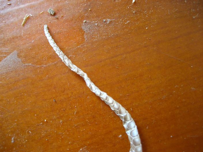 «ö¦¹¦b·sµøµ¡ÂsÄý¹Ï¤ù