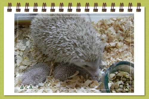 «ö¦¹¦b·sµøµ¡ÂsÄý¹Ï¤ù