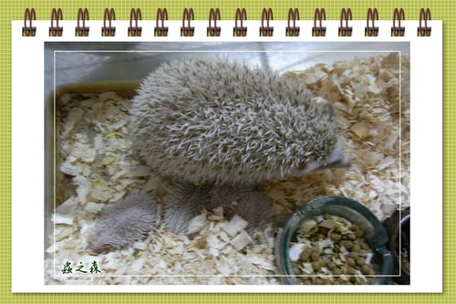 «ö¦¹¦b·sµøµ¡ÂsÄý¹Ï¤ù