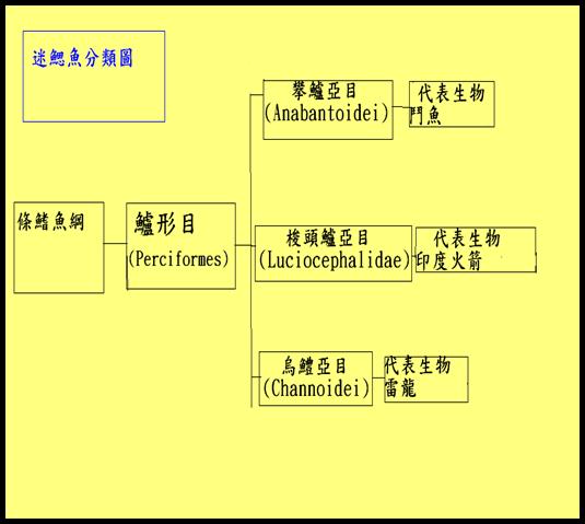 «ö¦¹¦b·sµøµ¡ÂsÄý¹Ï¤ù