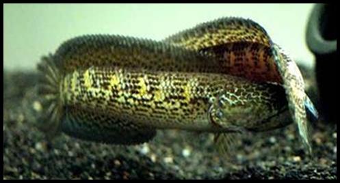 «ö¦¹¦b·sµøµ¡ÂsÄý¹Ï¤ù