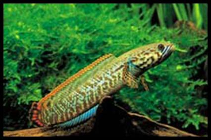 «ö¦¹¦b·sµøµ¡ÂsÄý¹Ï¤ù