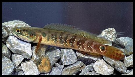 «ö¦¹¦b·sµøµ¡ÂsÄý¹Ï¤ù