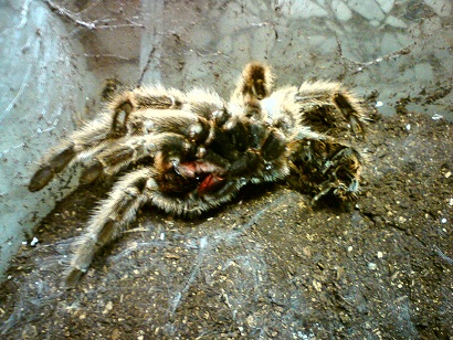 «ö¦¹¦b·sµøµ¡ÂsÄý¹Ï¤ù