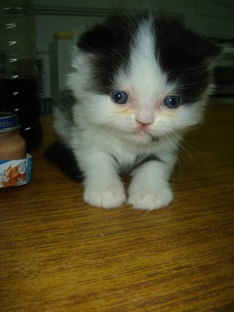 «ö¦¹¦b·sµøµ¡ÂsÄý¹Ï¤ù