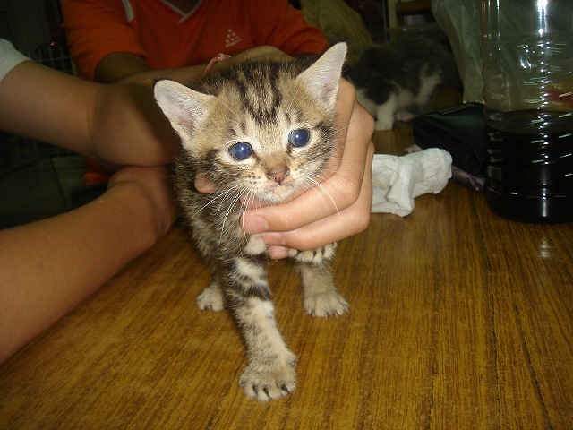 «ö¦¹¦b·sµøµ¡ÂsÄý¹Ï¤ù