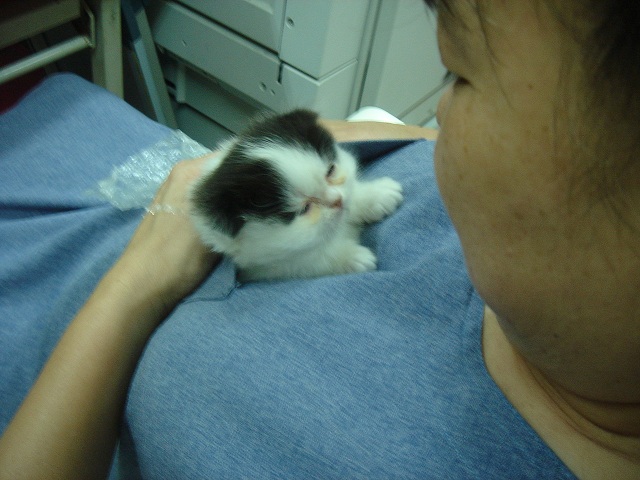 «ö¦¹¦b·sµøµ¡ÂsÄý¹Ï¤ù