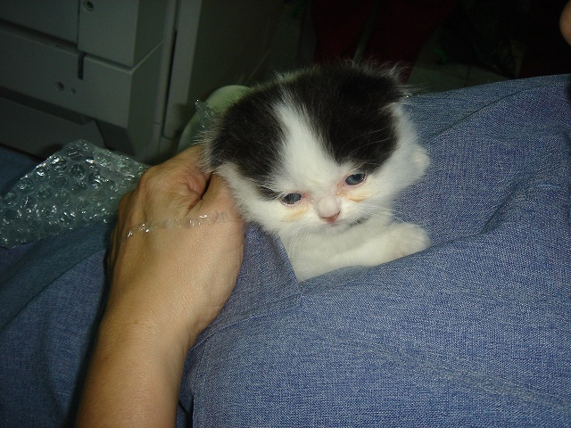 «ö¦¹¦b·sµøµ¡ÂsÄý¹Ï¤ù