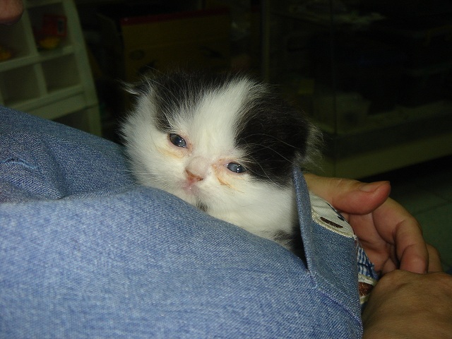 «ö¦¹¦b·sµøµ¡ÂsÄý¹Ï¤ù