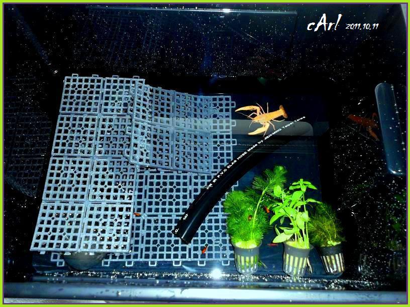 «ö¦¹¦b·sµøµ¡ÂsÄý¹Ï¤ù