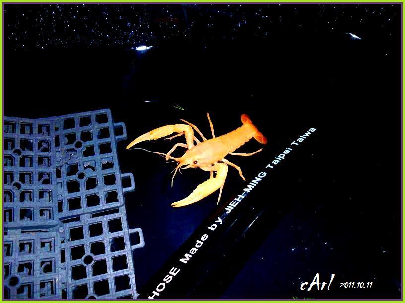 «ö¦¹¦b·sµøµ¡ÂsÄý¹Ï¤ù