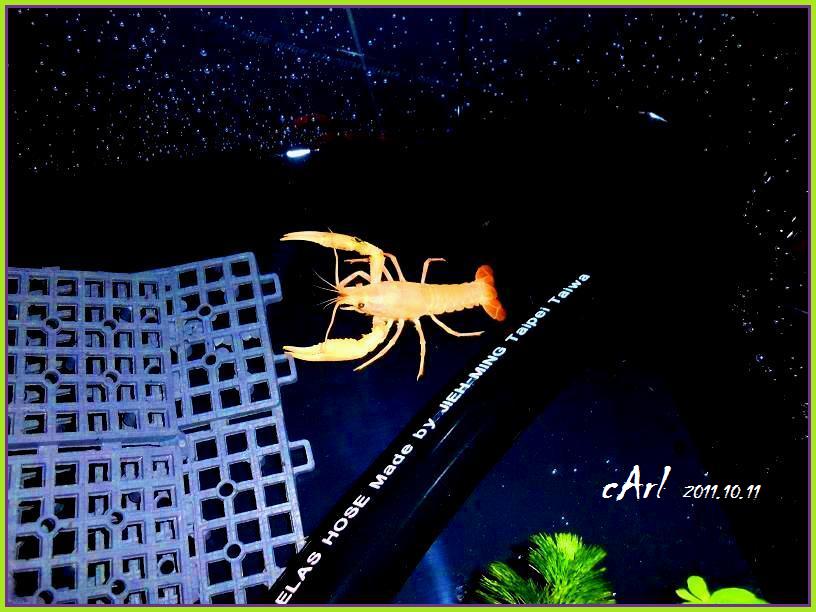 «ö¦¹¦b·sµøµ¡ÂsÄý¹Ï¤ù