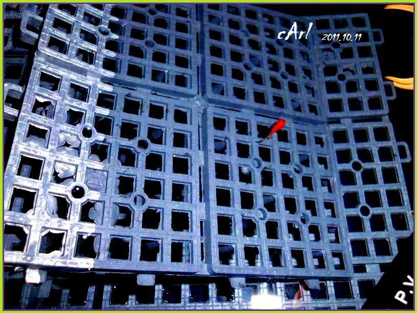 «ö¦¹¦b·sµøµ¡ÂsÄý¹Ï¤ù