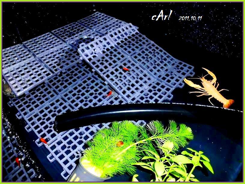 «ö¦¹¦b·sµøµ¡ÂsÄý¹Ï¤ù