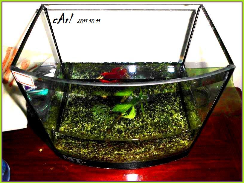 «ö¦¹¦b·sµøµ¡ÂsÄý¹Ï¤ù