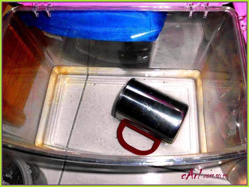 «ö¦¹¦b·sµøµ¡ÂsÄý¹Ï¤ù