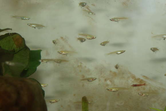 «ö¦¹¦b·sµøµ¡ÂsÄý¹Ï¤ù