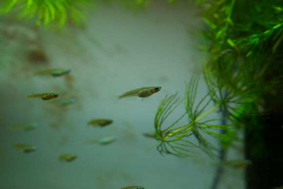 «ö¦¹¦b·sµøµ¡ÂsÄý¹Ï¤ù