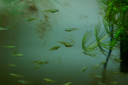 «ö¦¹¦b·sµøµ¡ÂsÄý¹Ï¤ù