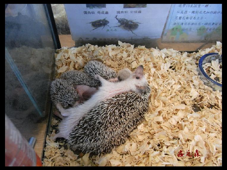 «ö¦¹¦b·sµøµ¡ÂsÄý¹Ï¤ù