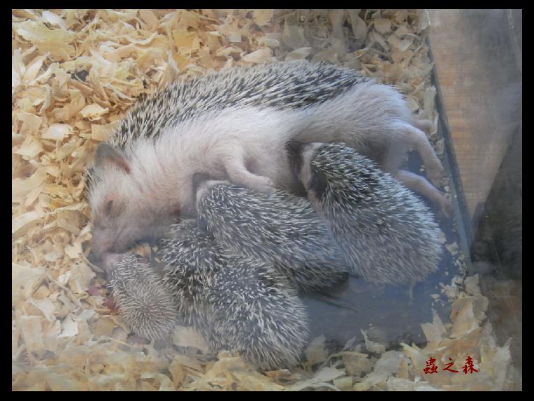 «ö¦¹¦b·sµøµ¡ÂsÄý¹Ï¤ù