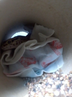 «ö¦¹¦b·sµøµ¡ÂsÄý¹Ï¤ù