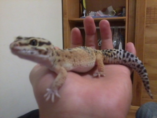 «ö¦¹¦b·sµøµ¡ÂsÄý¹Ï¤ù