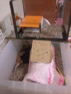 «ö¦¹¦b·sµøµ¡ÂsÄý¹Ï¤ù