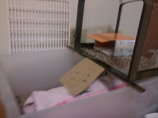 «ö¦¹¦b·sµøµ¡ÂsÄý¹Ï¤ù