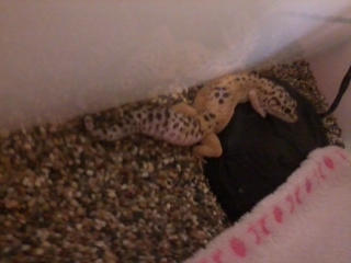 «ö¦¹¦b·sµøµ¡ÂsÄý¹Ï¤ù