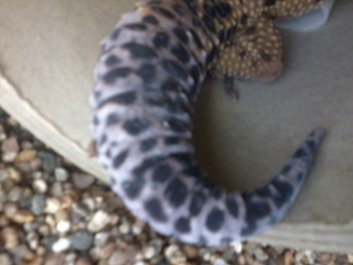 «ö¦¹¦b·sµøµ¡ÂsÄý¹Ï¤ù